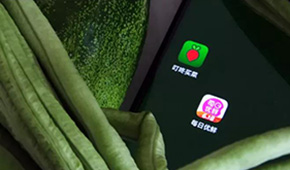 叮咚買菜、每日優(yōu)鮮接連上市，是否持續(xù)利好預制菜成為“家常菜”？