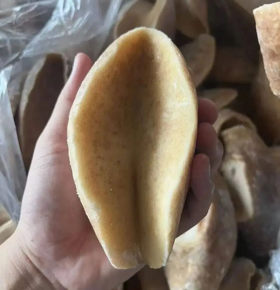 1758511210271195.jpg 1758511210271195.jpg