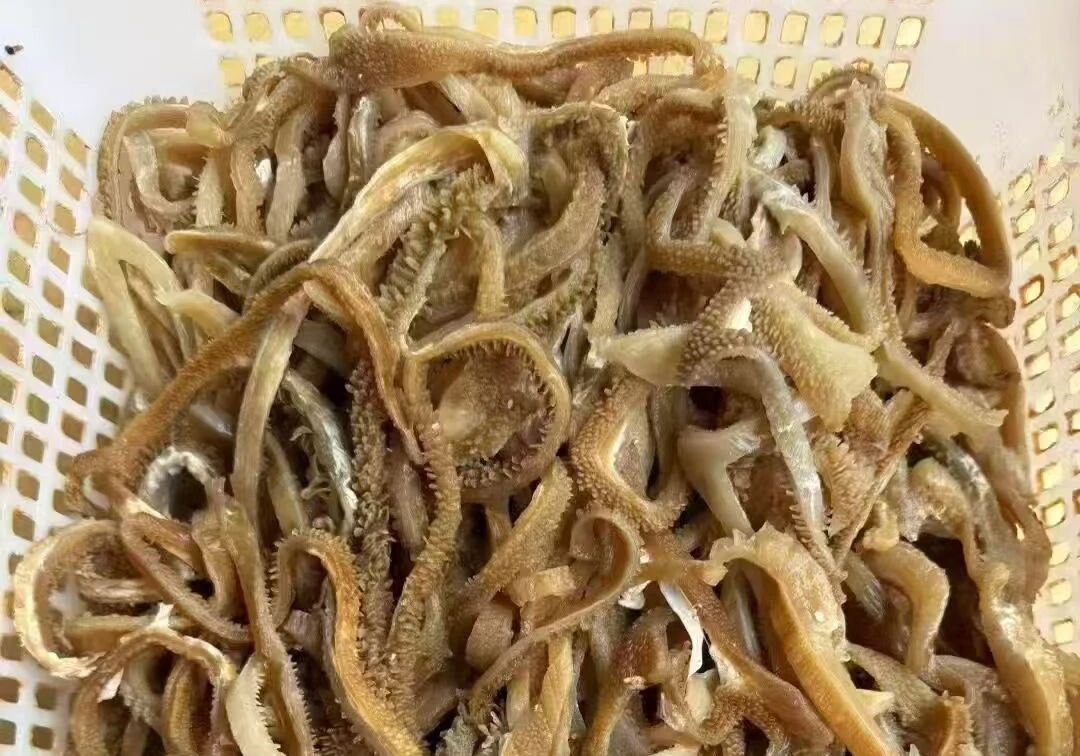 1763432566197734.jpg 1763432566197734.jpg