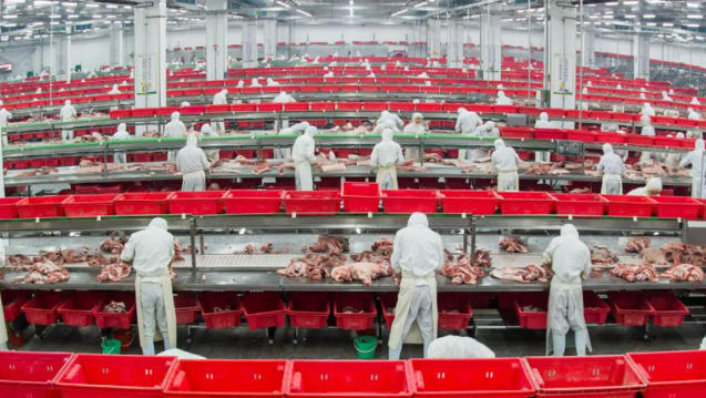 金鑼、郯潤、齊匯、瑞發德、喜姐炸串……山東臨沂“食力派”全鏈發力、高質躍升