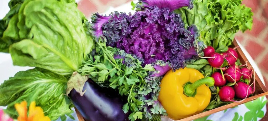 不要小看“兩歲的西蘭花”！冷凍蔬菜承載從田間到餐桌的供應(yīng)鏈革命